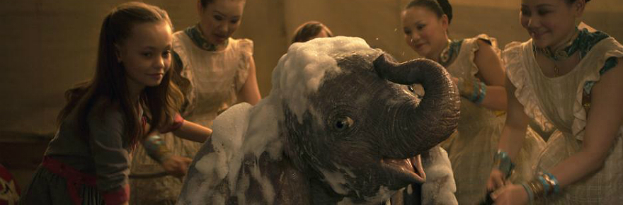 Dumbo getting a bath