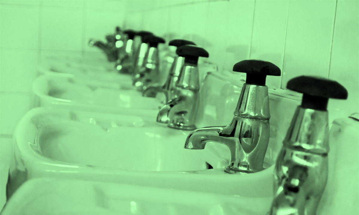 Row of bathroom sinks