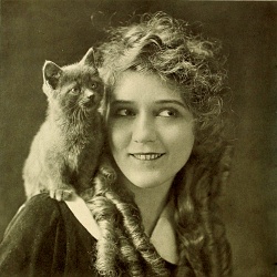 Actress Mary Pickford and her cat.