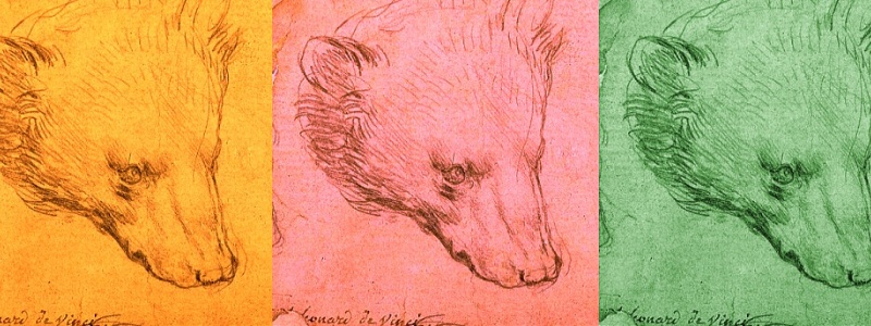 Images of Leonardo DaVinci's “Head of a Bear” drawing