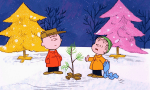 Charlie Brown and Linus have a conversation by a little Christmas tree