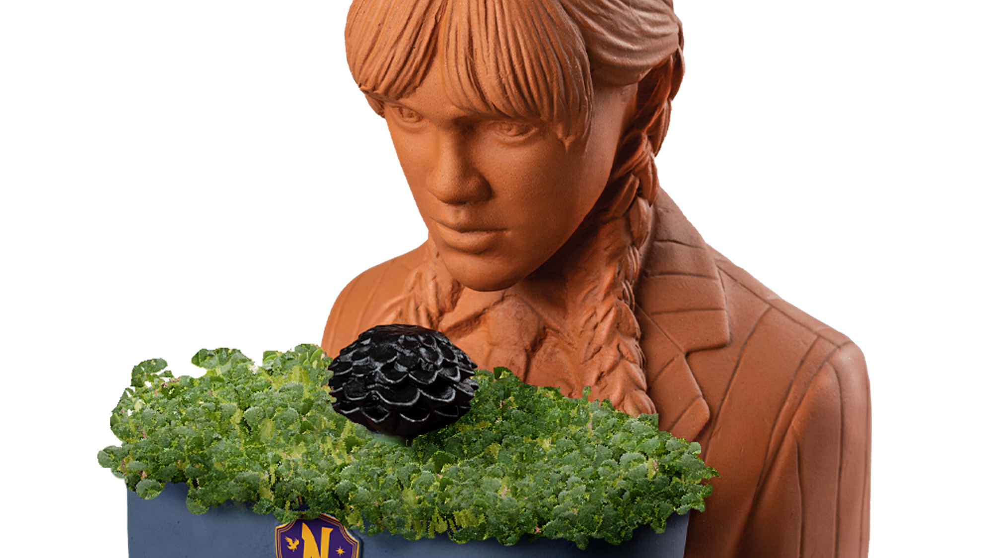 Adopt a Chia Pet for Halloween