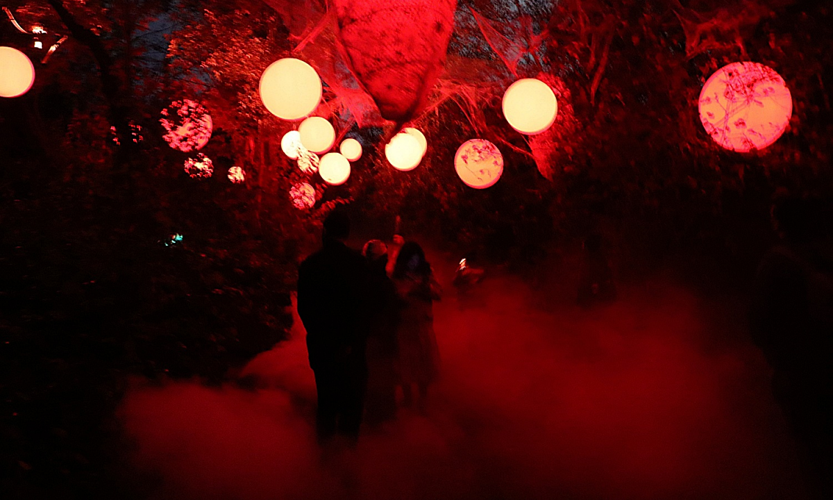 New ‘Forest of Shadows’ Offers a Halloween Experience Without the Blood and Gore.