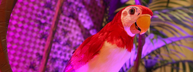 A colorful robotic bird from Disneyland's Enchanted Tiki Room
