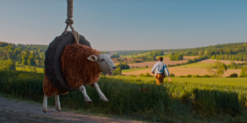 A sheep stuck in a tire swing from "The Sheep Detectives"