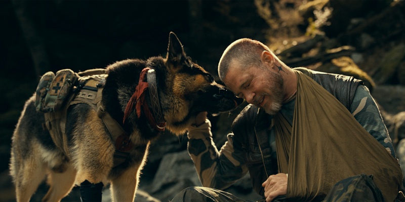 A German Shepherd licks his owner