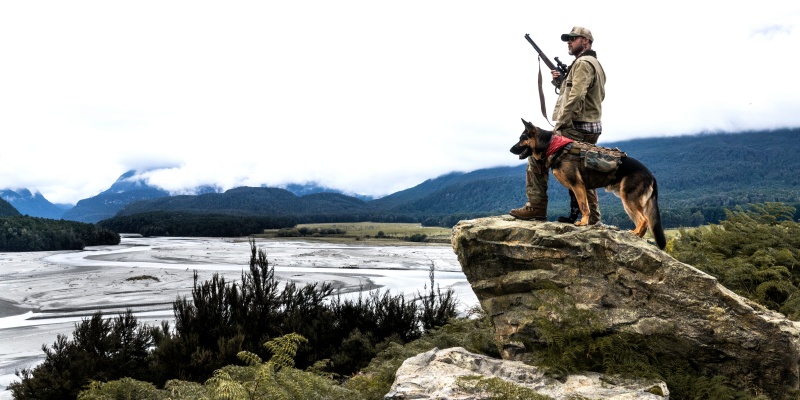 A man looks out in the distance with his pet German Shepherd