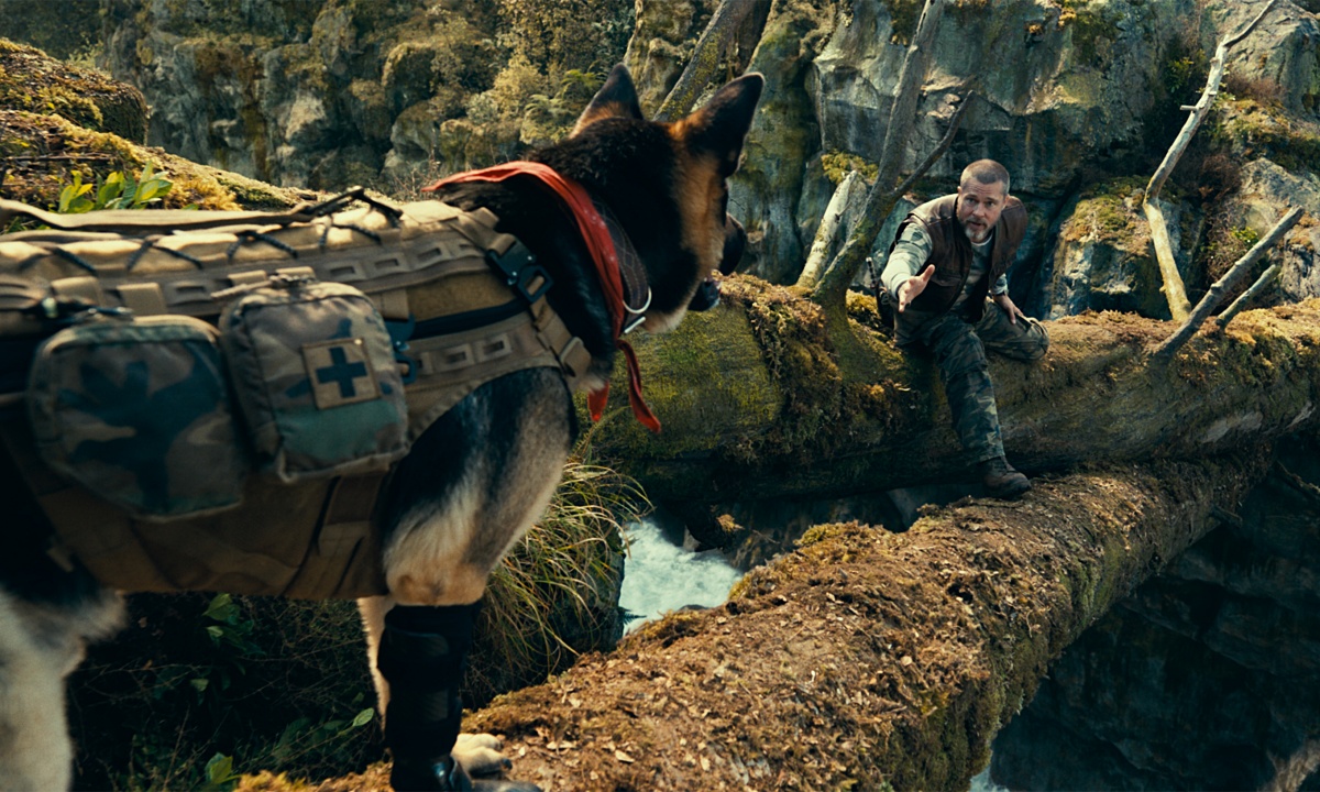 A man coaxes a German Shepherd Across a log over a river.